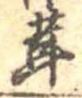 位置定マレル茸