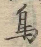 鳥，已得其位