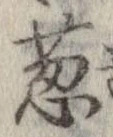 Đã định vị 葱