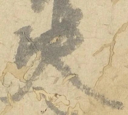 Located 決