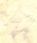 Đã định vị 合