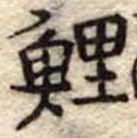 Located 鯉