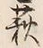 Character 萩