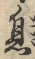 已定位息