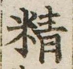 Đã định vị 精