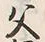 “父”字