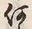文字何