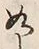 𡨸如