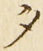 文字 夕