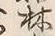 文字林