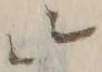 文字 エ