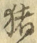 已定位猪
