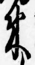 位置 確認된 束