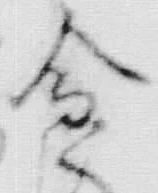 Character 金