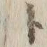 「題」字