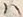 “高”字