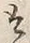 文字取