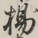 已定位楊