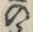 Character 豆