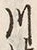 字源