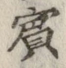 已定位賓