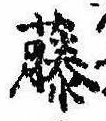已定位藤