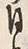 「本」字