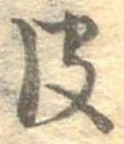 皮の位置