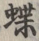 位置定マレル蝶