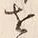 「耳」字