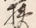 文字 狭