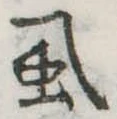 位置定マレル虱