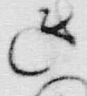 「ゝ」字