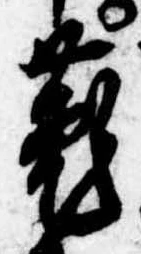 位置定マレル菟