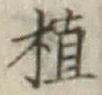 字植