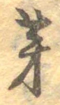 位置 確認된 芽