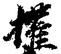 権の位置