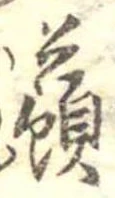 已定位蕷
