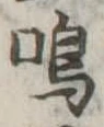 Đã định vị 鳴