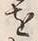 𡨸馬