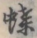 位置定マレル蝶