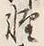 Chữ 軽