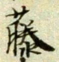 “藤”字