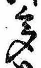 已定位多