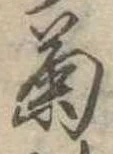 已定位菊