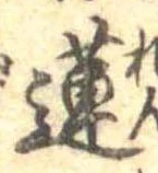 Đã định vị 蓮