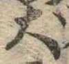 Located 犬