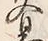 字易