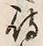 字待