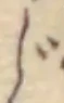 Character じ